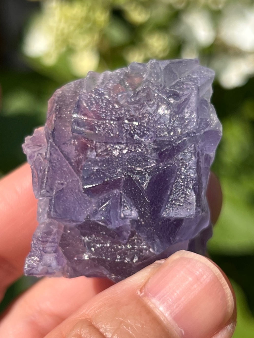 Fluorite (4) specimen with stand | Crystal